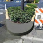 Concrete Repair, Tampa Curb Photo - Asphalt and Concrete Parking Lot Maintenance (ACPLM)